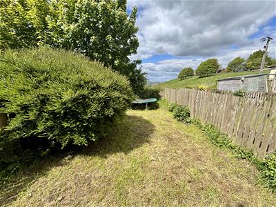 Picture 20